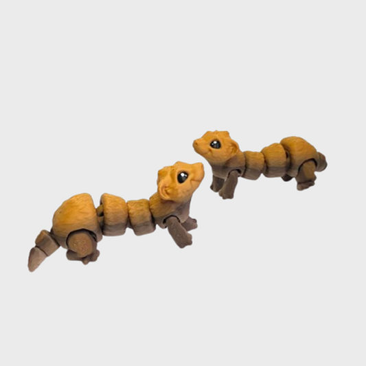 Ferret Flexi